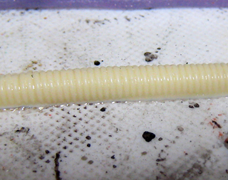 2012051802.jpg
