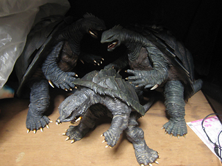 20121172.jpg