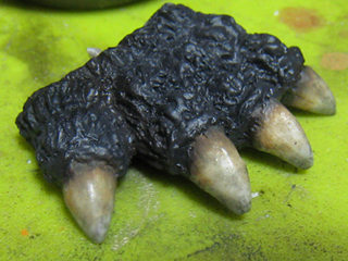 20140918.jpg